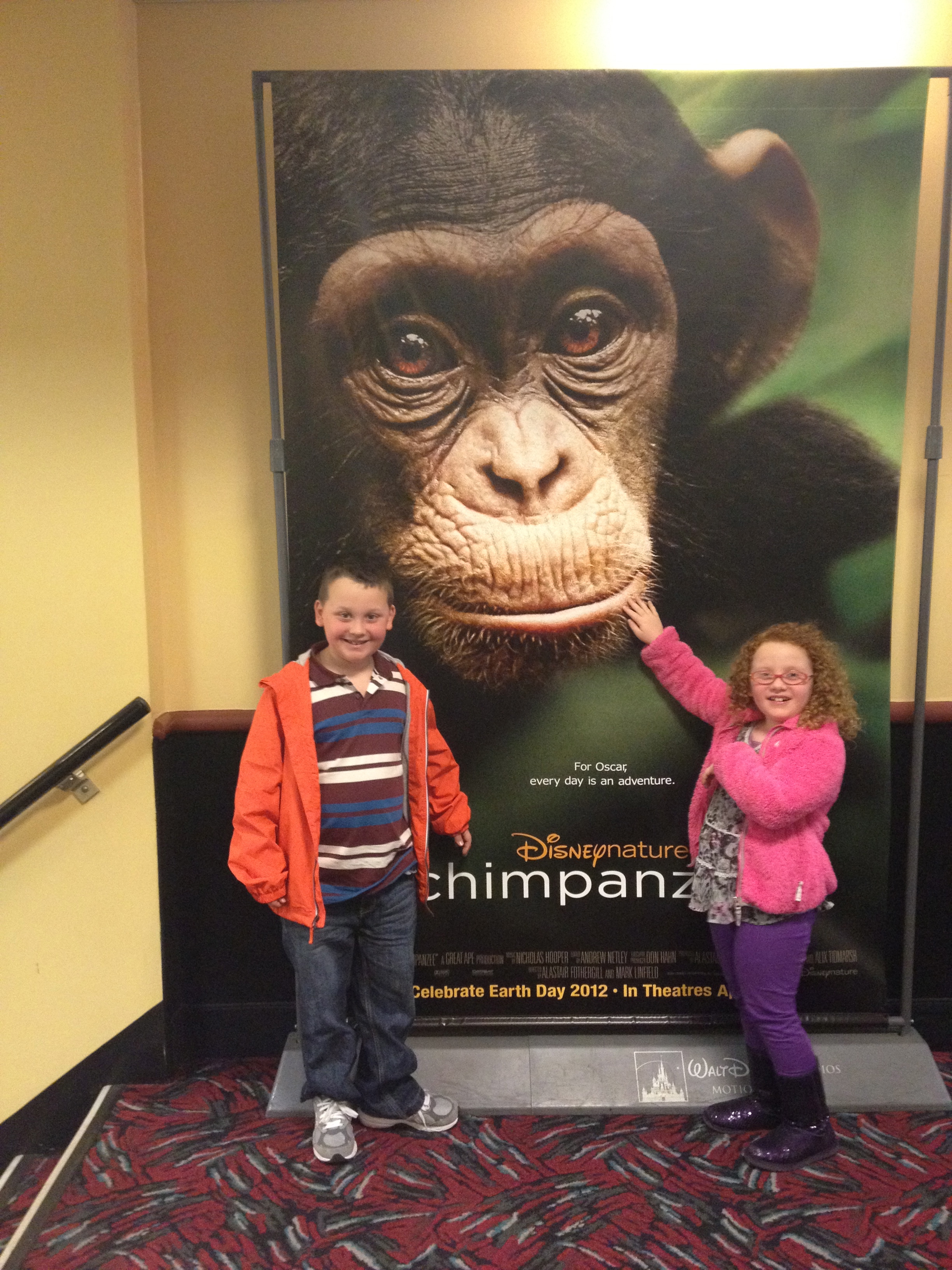 melissa and doug chimpanzee