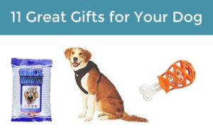 gifts for your dog