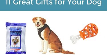 gifts for your dog