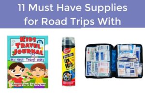 supplies for raod trips