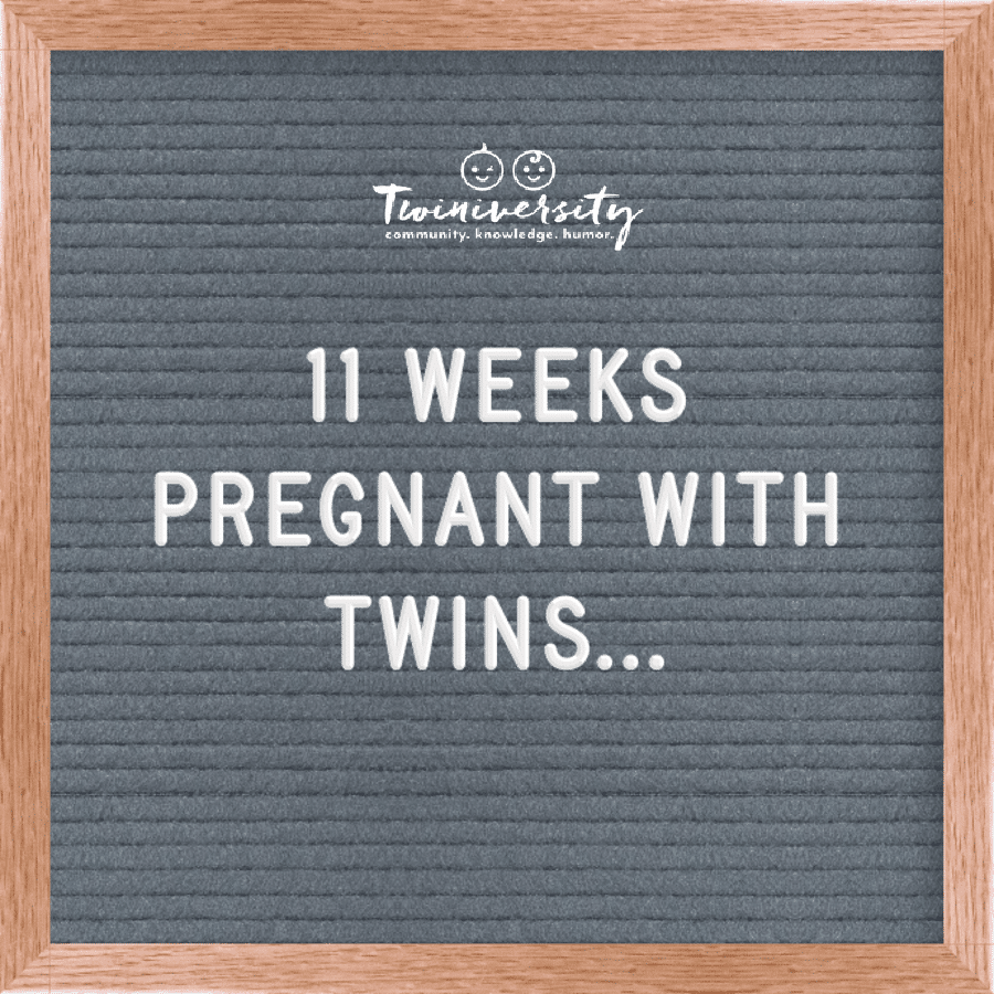 Twin Pregnancy Week By Week Timeline