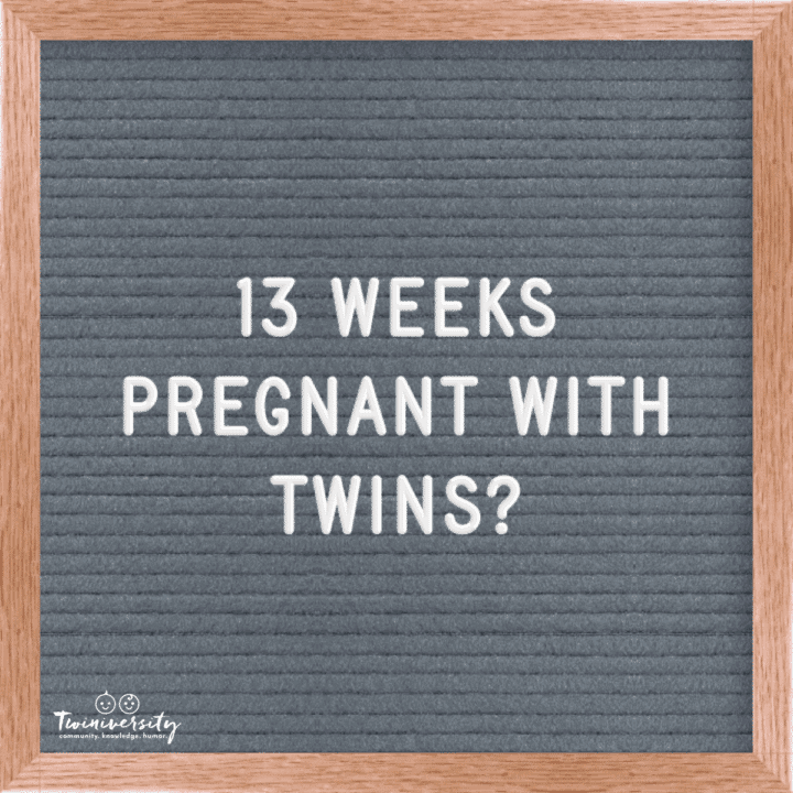 Twin Pregnancy Week By Week Timeline