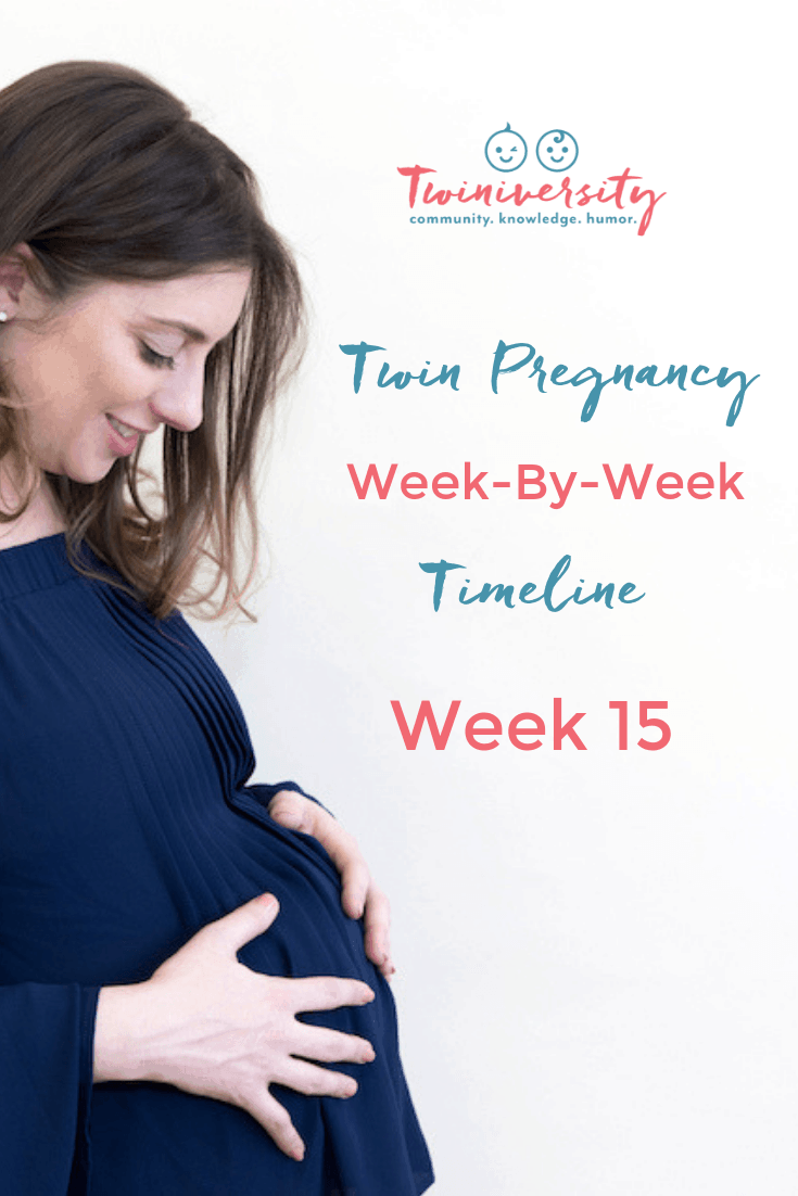 15 weeks pregnant with twins