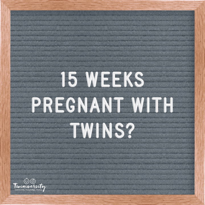 Twin Pregnancy Week By Week Timeline