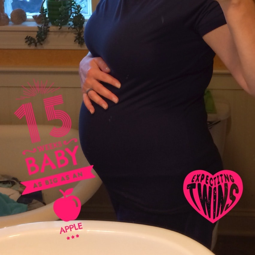 15 weeks pregnant cruise