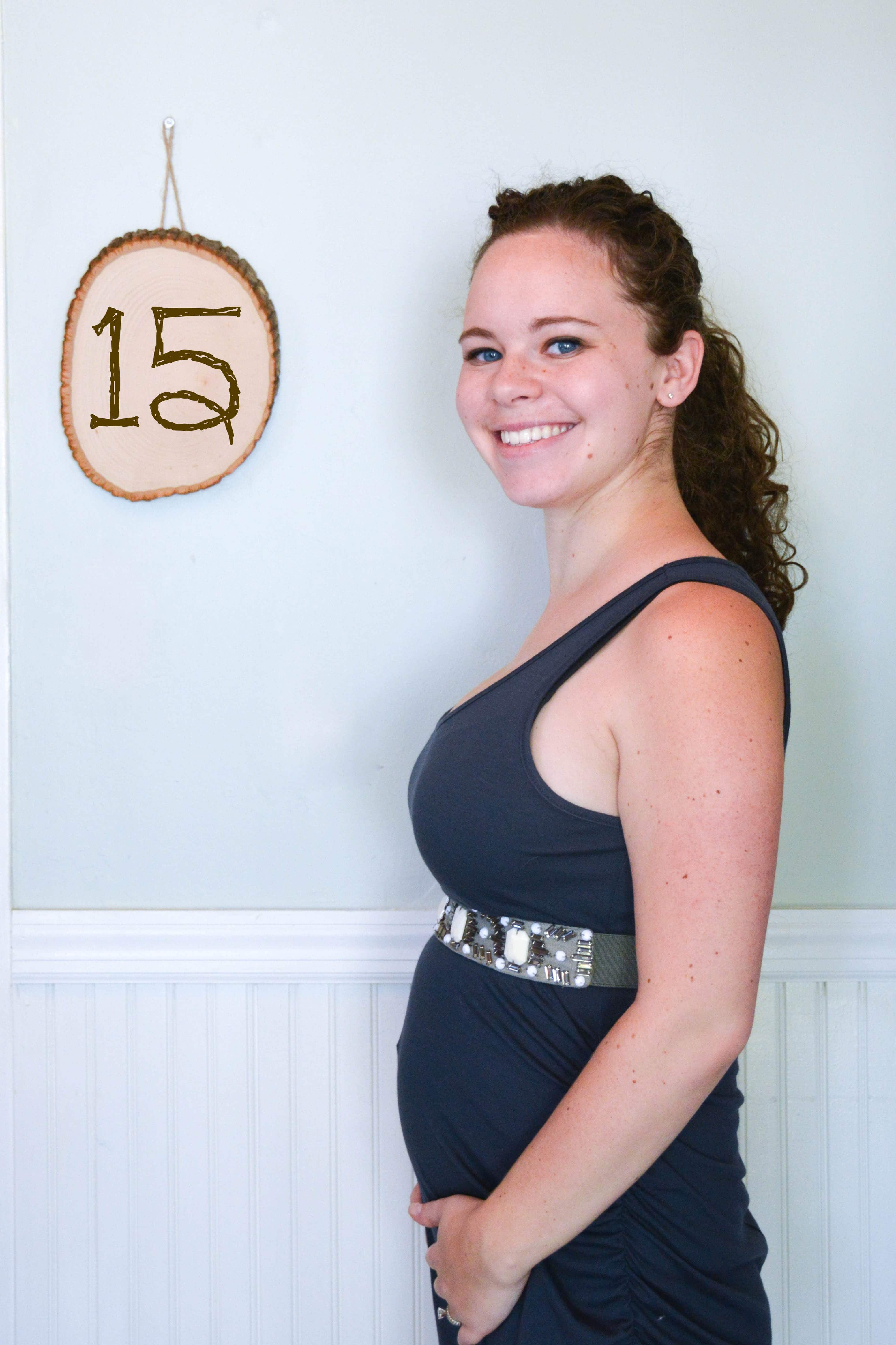 15 weeks pregnant cruise