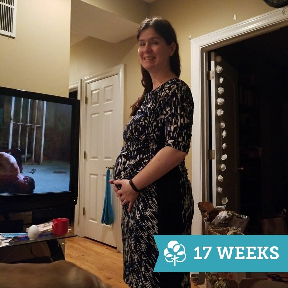 17 weeks pregnant with twins