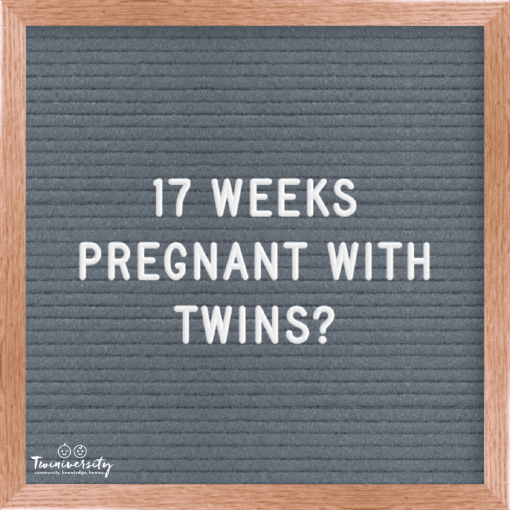 Twin Pregnancy Week By Week Timeline