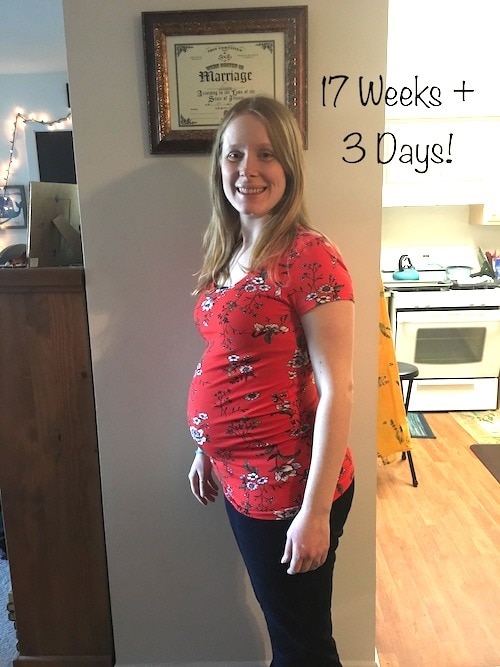 17 weeks pregnant with twins