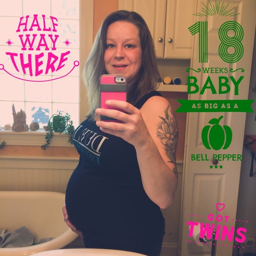 18 weeks pregnant with twins