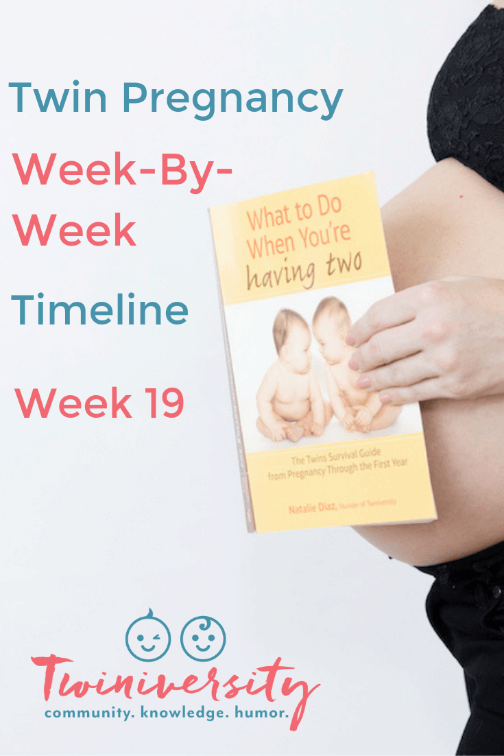 19 weeks pregnant with twins