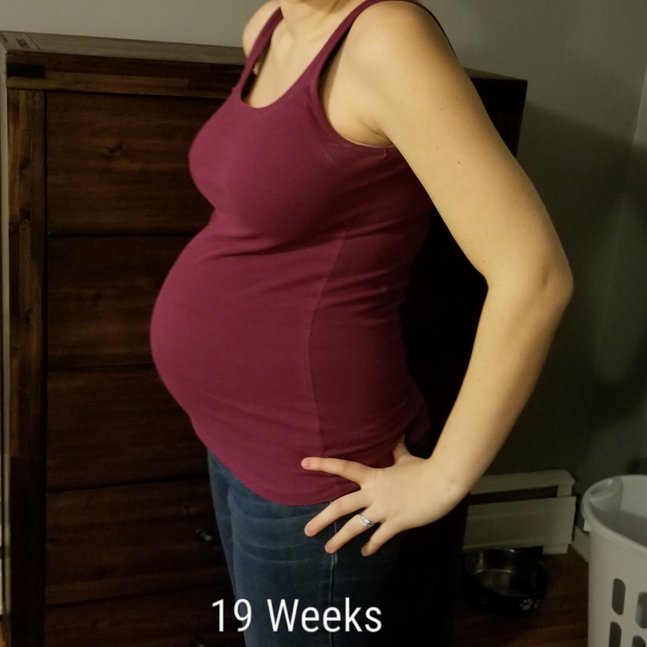 19 weeks pregnant with twins