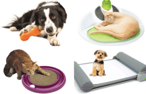 gifts for dogs