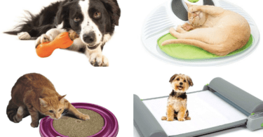 gifts for dogs