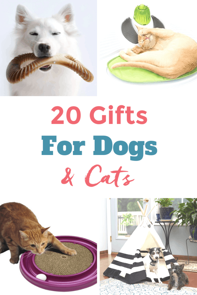 gifts for dogs