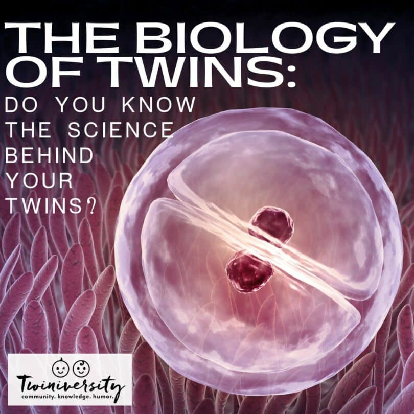 The Biology of Twins: Do You Know The Science Behind Your Twins?
