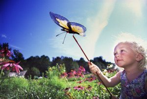 Butterfly Discovery