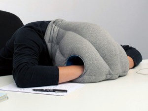 ostrich_pillow