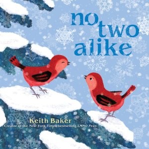 twin book no two alike