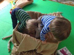 box playtime fun