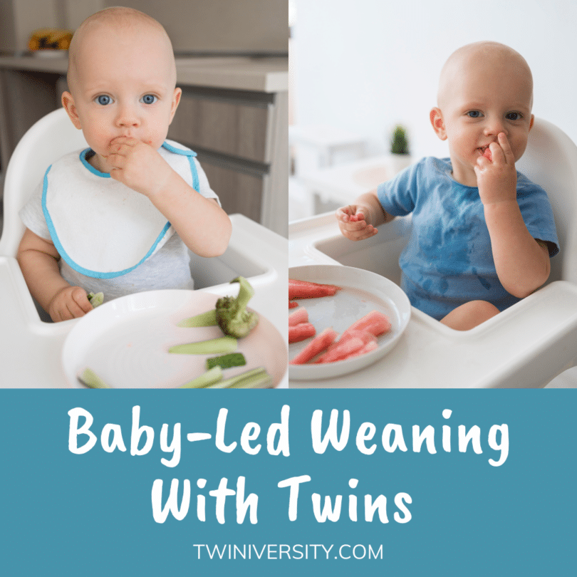two babies eating in high chairs baby led weaning