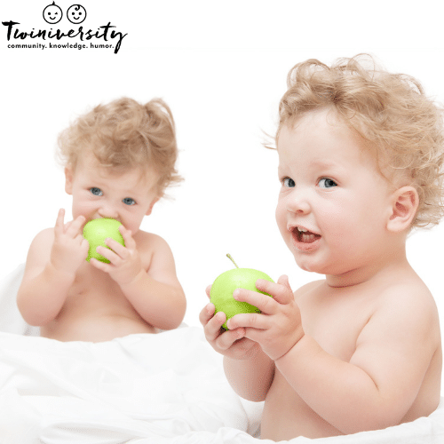 twin babies eating an apple baby led weaning