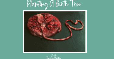 placenta tree of life Birth Tree
