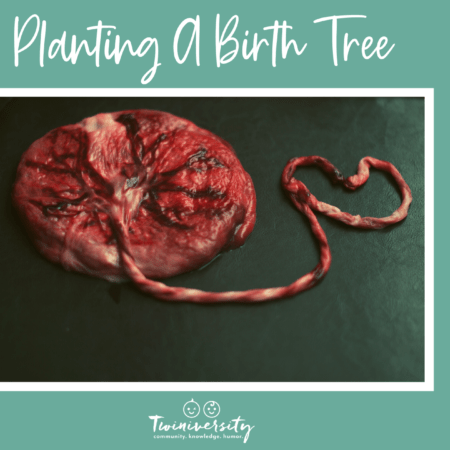 placenta tree of life Birth Tree