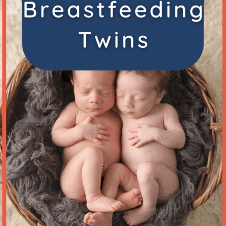 The Beginner&#8217;s Guide to Breastfeeding Twins