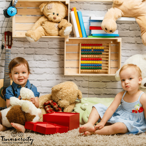 toddler twins playing together