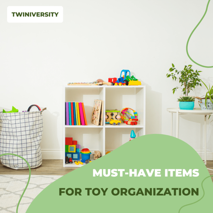 13 Items You Must Have to Organize Your Twins&#8217; Toys