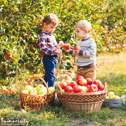 two children pick apples at an apple orchard for fall family fun in outdoors