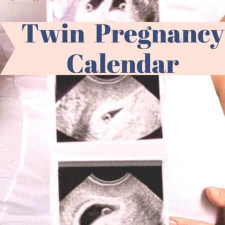 Twin Pregnancy Calendar: What To Do and When To Get Ready!