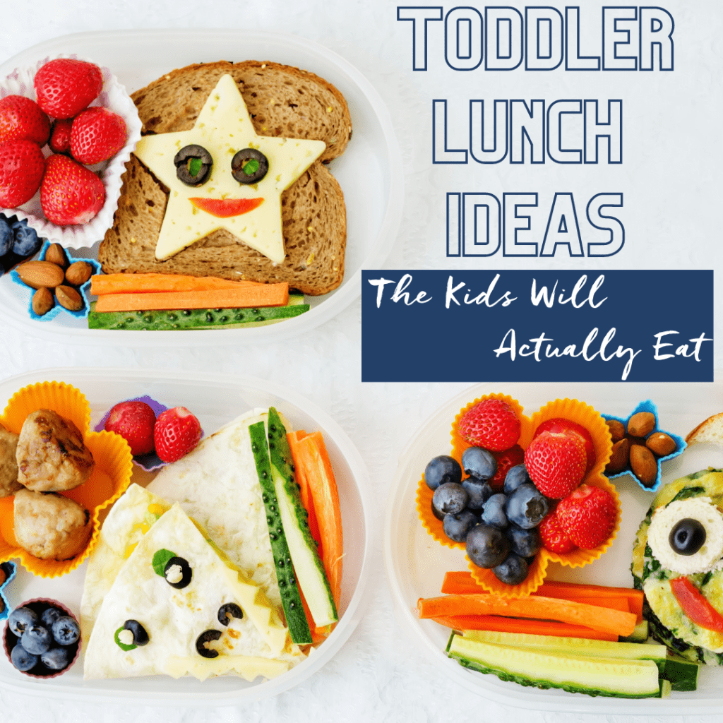 Toddler Lunch Ideas That Your Kids Will Actually Eat - Twiniversity