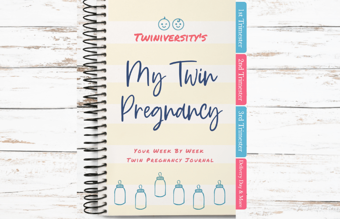 Digital Twin Pregnancy Journal (1)