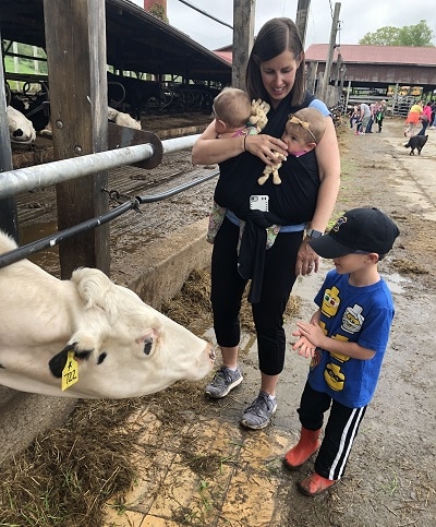 babywearing benefits woman babywearing infant twins, little boy looking at a cow at a farm