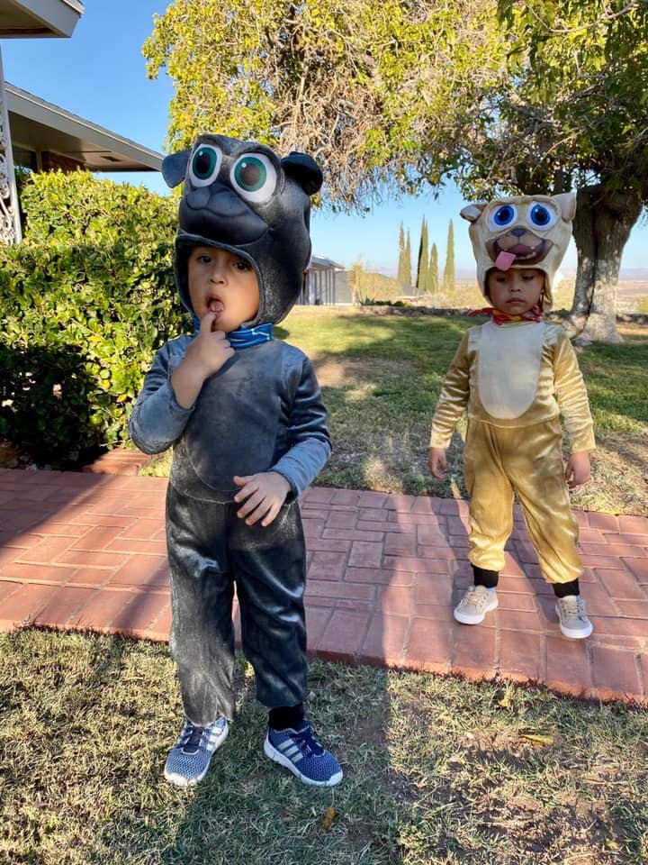 twins dressed as the puppy dog pals twin boys halloween costumes