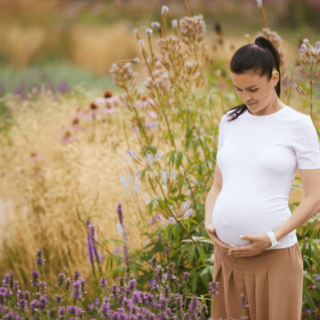 Best Prenatal and Postpartum Articles