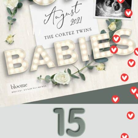 15 Best Digital Twins Pregnancy Announcements