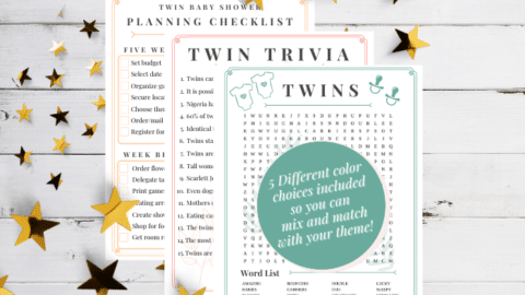 The Ultimate Twin Pregnancy Guide
