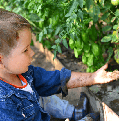 toddlers arm covered in dirt and mud