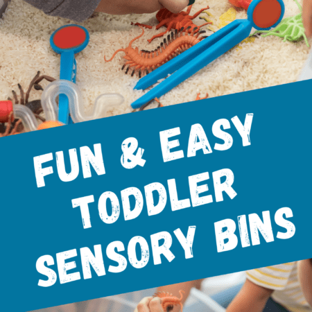 Sensory Bins For Toddlers: Where to Begin