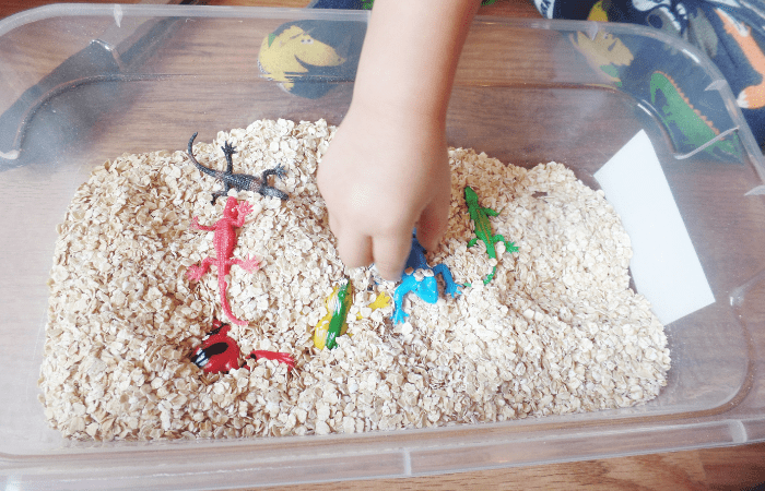 Sensory Bins For Toddlers: Where to Begin