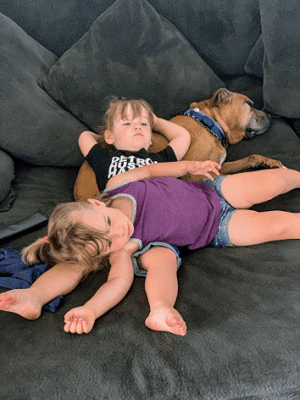 toddler girls laying on one another with a dog