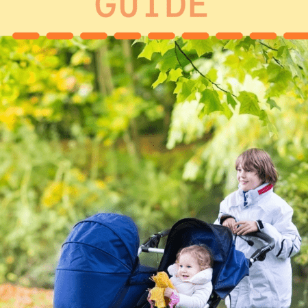 Best Double Stroller for Travel and Everyday use