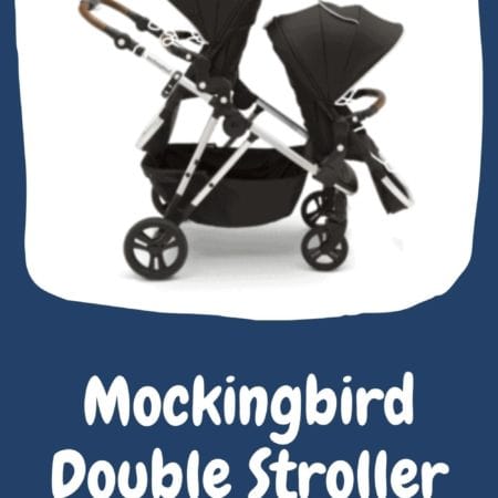 Mockingbird Stroller 2022 Review