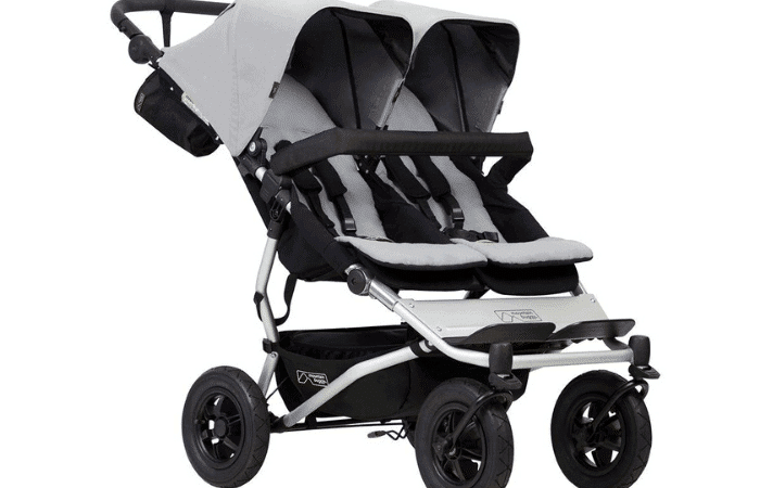 Double Stroller Reviews