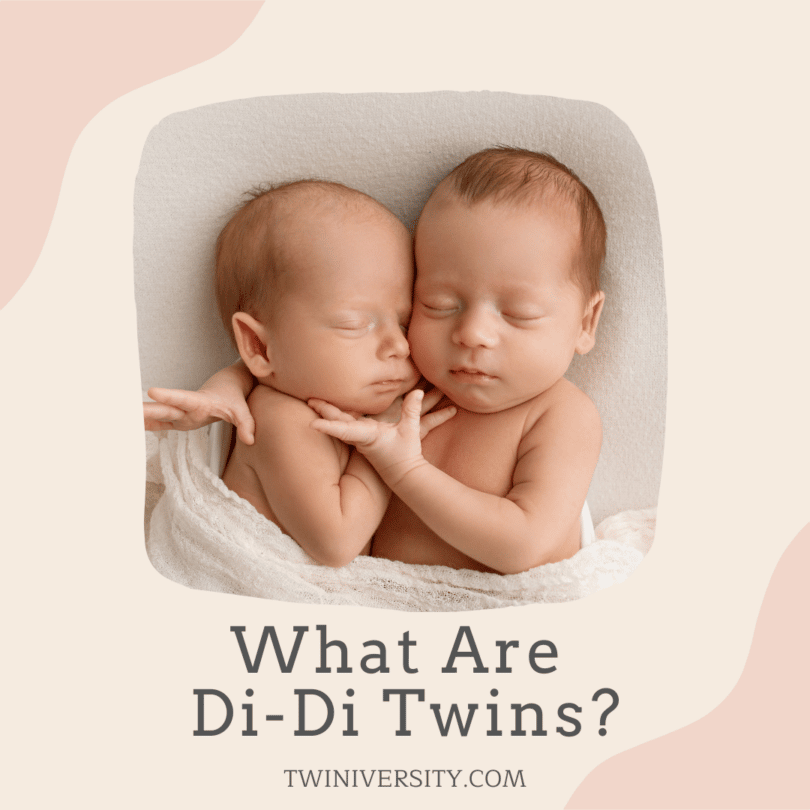 di-di twin babies