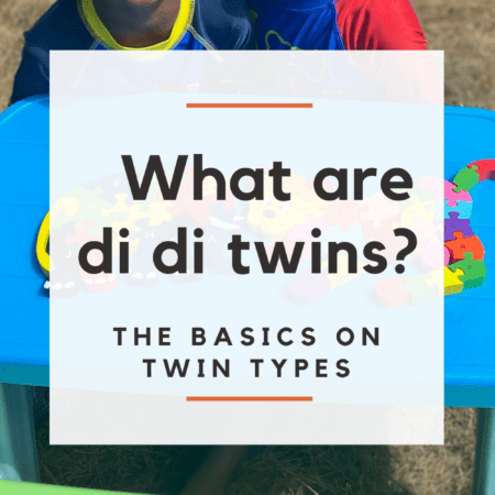 what are di di twins