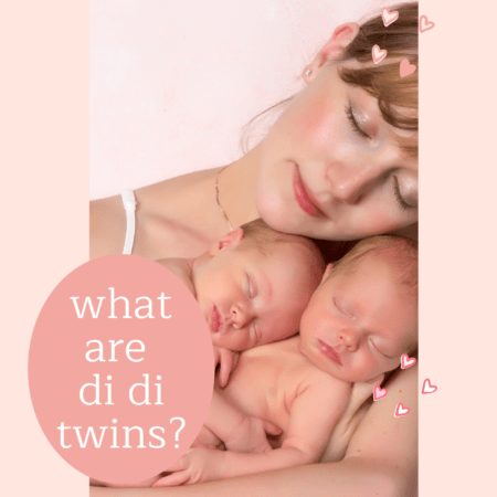 what are di di twins